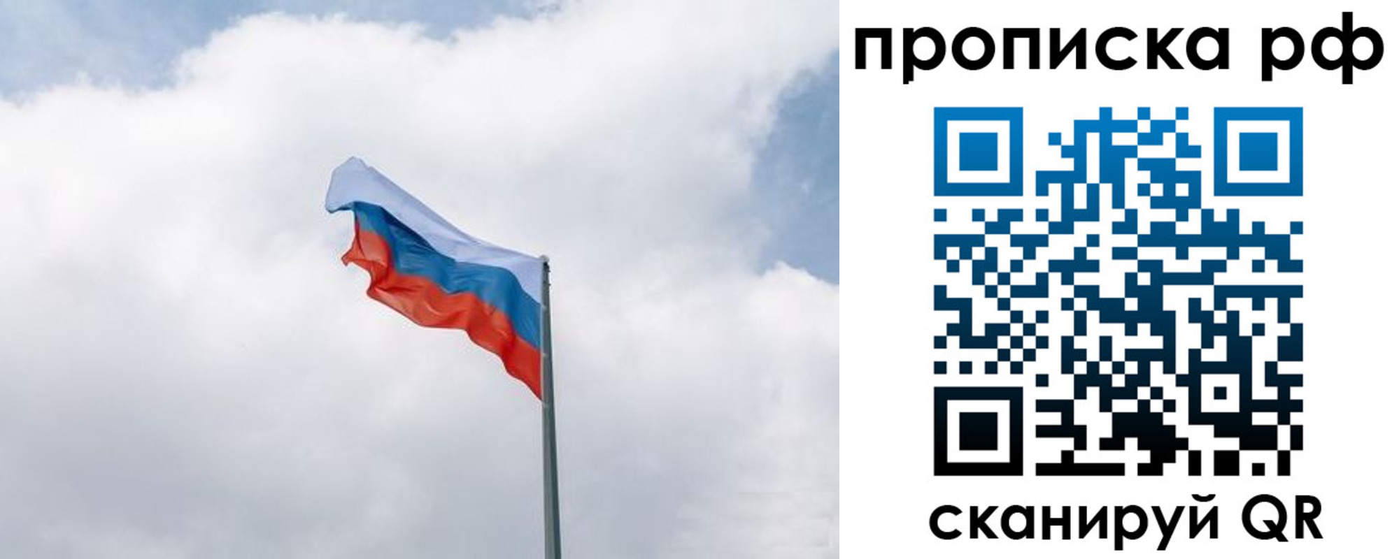 прописка гарантия в Струнино